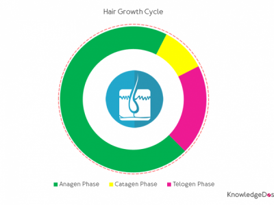 Drugs causing alopecia